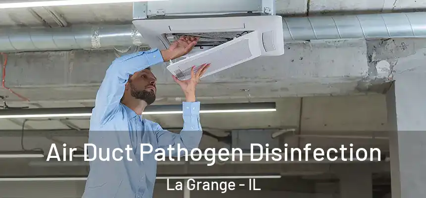  Air Duct Pathogen Disinfection La Grange - IL