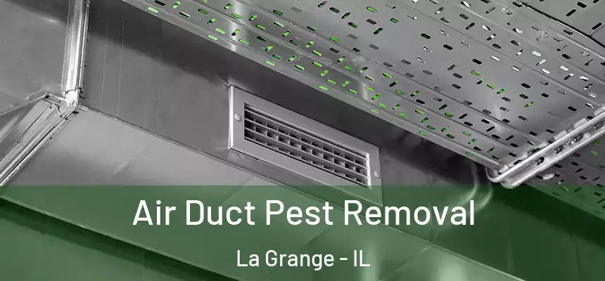  Air Duct Pest Removal La Grange - IL