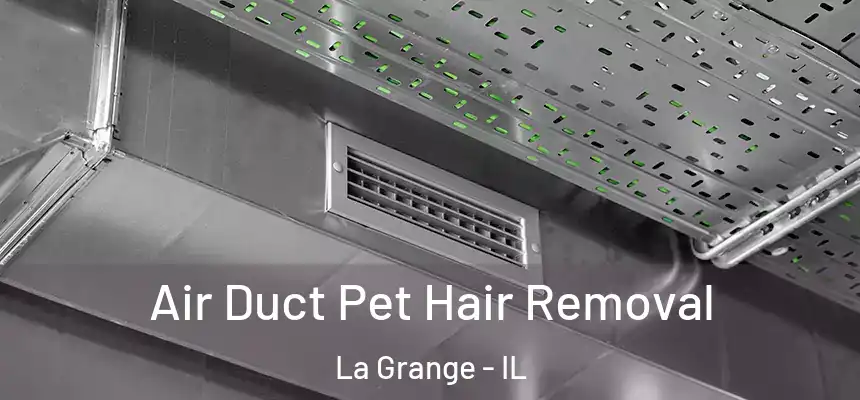 Air Duct Pet Hair Removal La Grange - IL