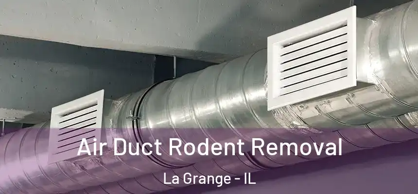  Air Duct Rodent Removal La Grange - IL