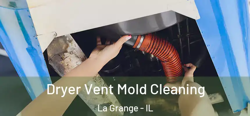  Dryer Vent Mold Cleaning La Grange - IL
