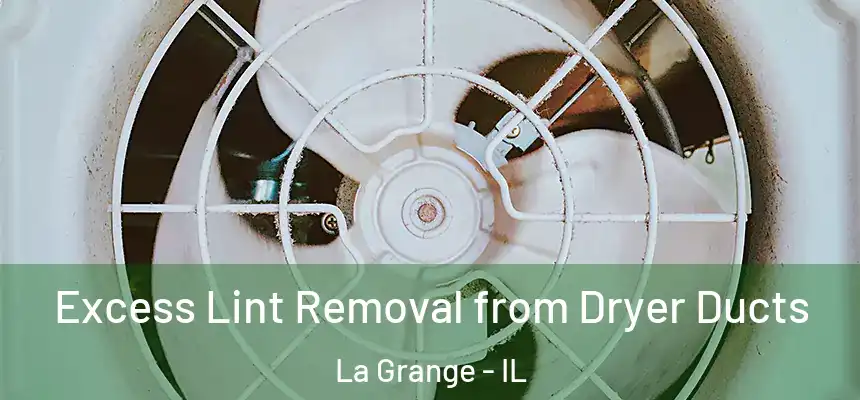 Excess Lint Removal from Dryer Ducts La Grange - IL