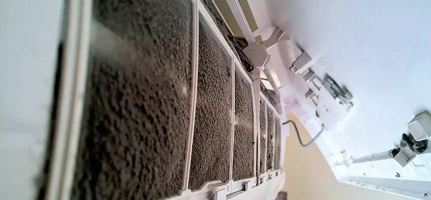 Preventive Air Duct Bacteria Removal in La Grange