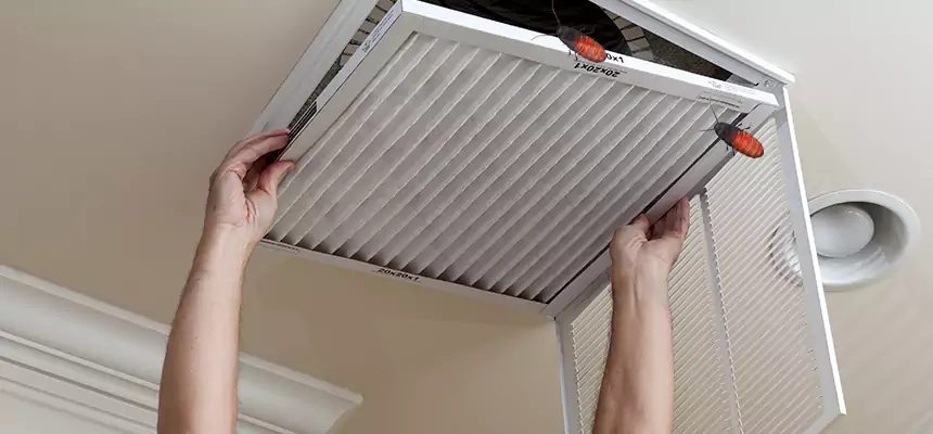 Preventive Cockroach-Proofing for Ducts in La Grange