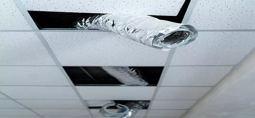 Our Air Duct Pet Hair Removal Services in La Grange, IL