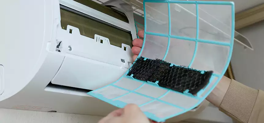 Gentle Ductwork Odor-Control Pet Dander Duct Cleaning in La Grange, IL