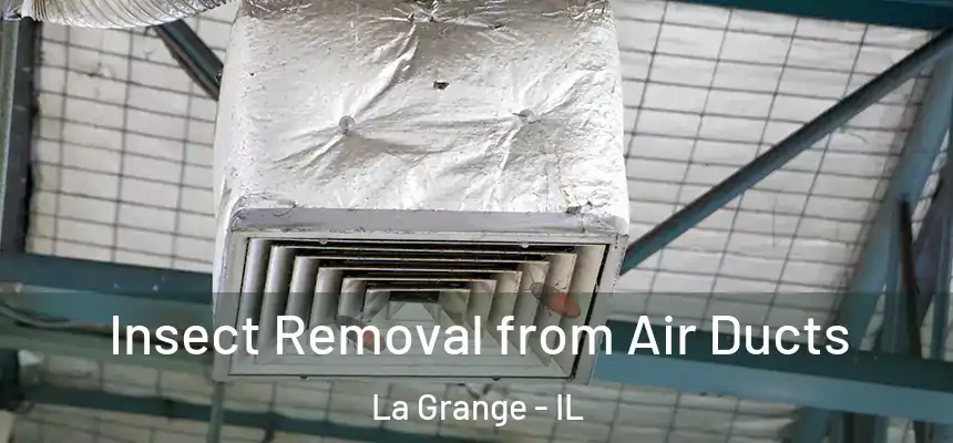 Insect Removal from Air Ducts La Grange - IL