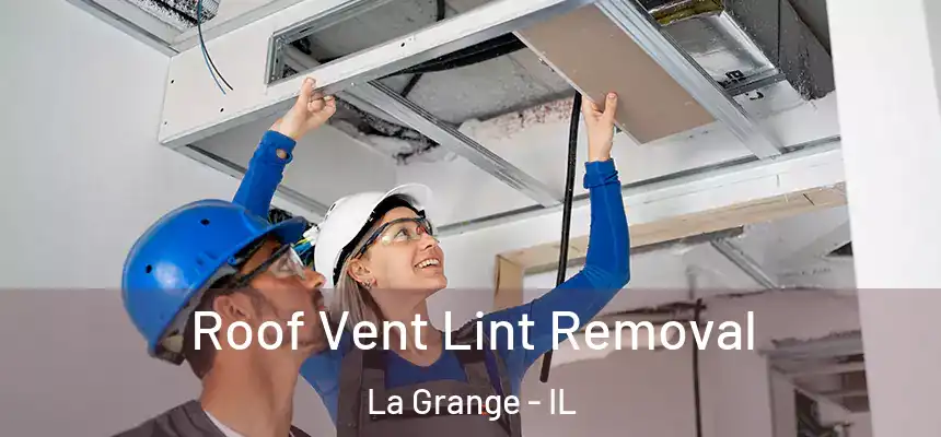 Roof Vent Lint Removal La Grange - IL