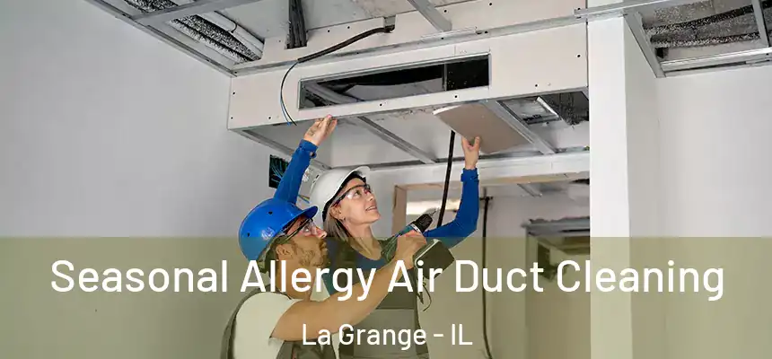 Seasonal Allergy Air Duct Cleaning La Grange - IL