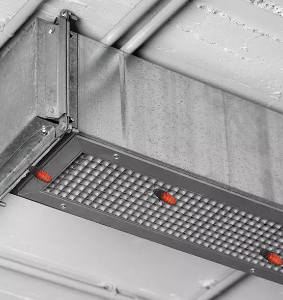 About Air Duct Cockroach Removal in La Grange, IL
