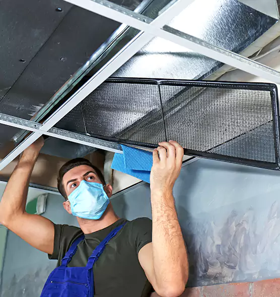 Professional Air Duct Pollen Cleaning in La Grange, IL