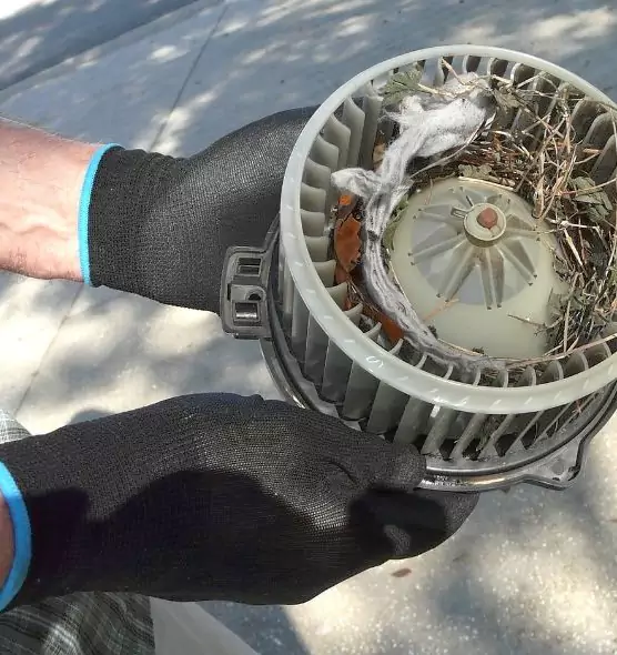 About Air Duct Rat Removal in La Grange, IL