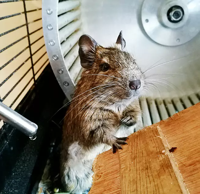 Why Homeowners & Businesses Trust Us La Grange, IL